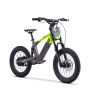 Draisienne électrique sedna sx 18" Vert