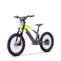 Draisienne électrique sedna sx 20" Vert