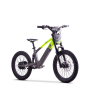 Draisienne électrique sedna sx 20" Vert