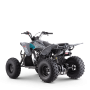 Quad odjar predator 125
