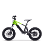 Draisienne électrique sedna sx 16" Vert