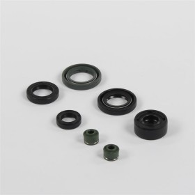 Pochette de joints spi 150cc / 160cc yx