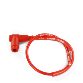 Anti parasite ngk racing