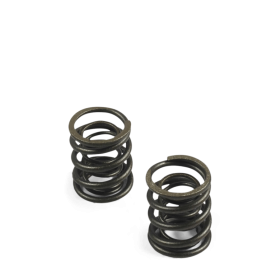Ressorts de soupape 150/160 yx