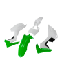 Kit plastique crf110 Vert