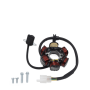 Stator 190cc zongshen