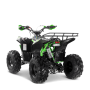 Kit deco quad smx crx 2018 Vert