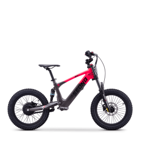 Draisienne électrique sedna sx 18" Rose