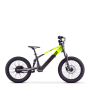 Draisienne électrique sedna sx 20" Vert