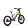 Draisienne électrique sedna sx 20" Vert