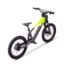 Draisienne électrique sedna sx 20" Vert