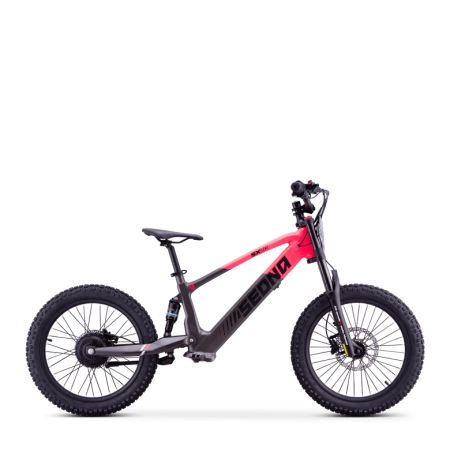 Draisienne électrique sedna sx 20" Rose