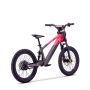 Draisienne électrique sedna sx 20" Rose