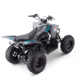 Quad odjar predator 125