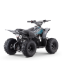Quad odjar predator 110