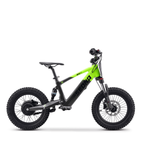 Draisienne électrique sedna sx 16" Vert