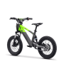 Draisienne électrique sedna sx 16" Vert